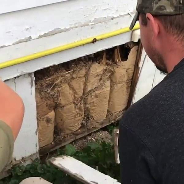 দুর্ভাগ্যবশত বোতলের ঢাকনা না খুলতে পারায় বোতলটি ভেঙে ওই চিঠি বার করতে হয় ইলিদকে।