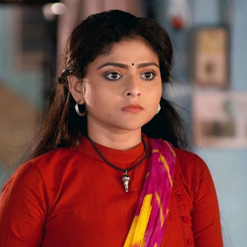 প্রথম ব্রেক পেয়েছিলেন ঝুমুর ধারাবাহিকে। ২০১৭ সালে। কালার্স বাংলার ঝুমুর ধারাবাহিক হঠাৎ বেশ কয়েক বছর এগিয়ে নিয়ে যায়। মূল চরিত্রে থাকা কিশোরী ঝুমুর বড় হয়ে যায়। ঐন্দ্রিলা সেই চরিত্রেই অভিনয়ের সুযোগ পান। 