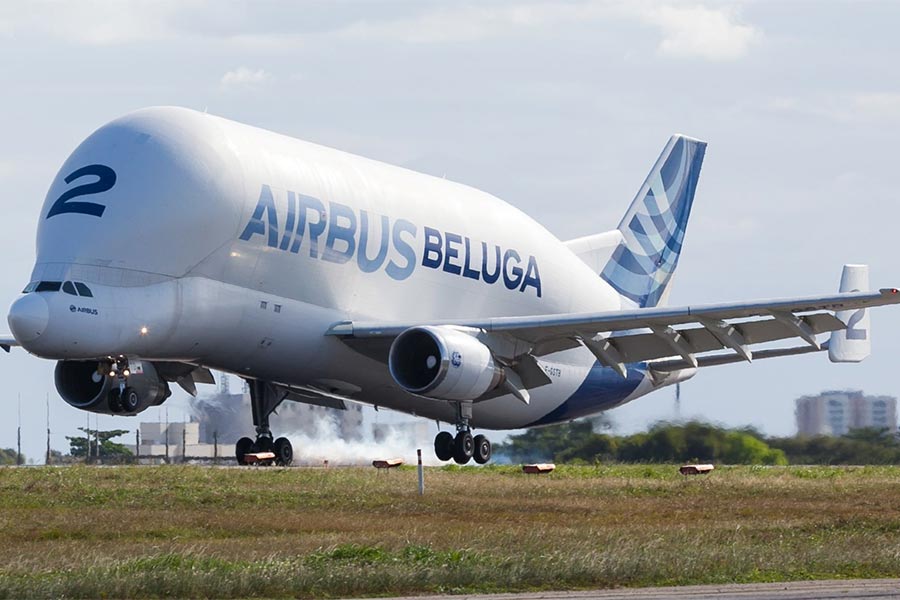 বিমানটির ছবি তুলে অনেকে সমাজমাধ্যমে পোস্টও করেছেন। অনেকে বেলুগার সঙ্গে তুলেছেন নিজস্বী। বেলুগার জন্য কলকাতা বিমানবন্দরে দিনভর উৎসাহীদের ভিড় ছিল।