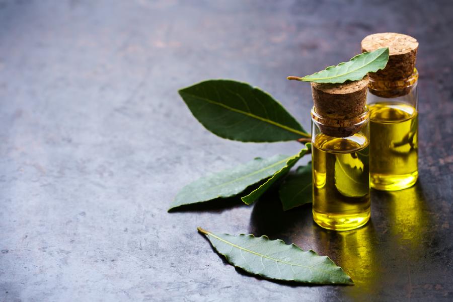 বেদনানাশক হিসাবে তেজপাতার তেলের দারুণ গুণ।