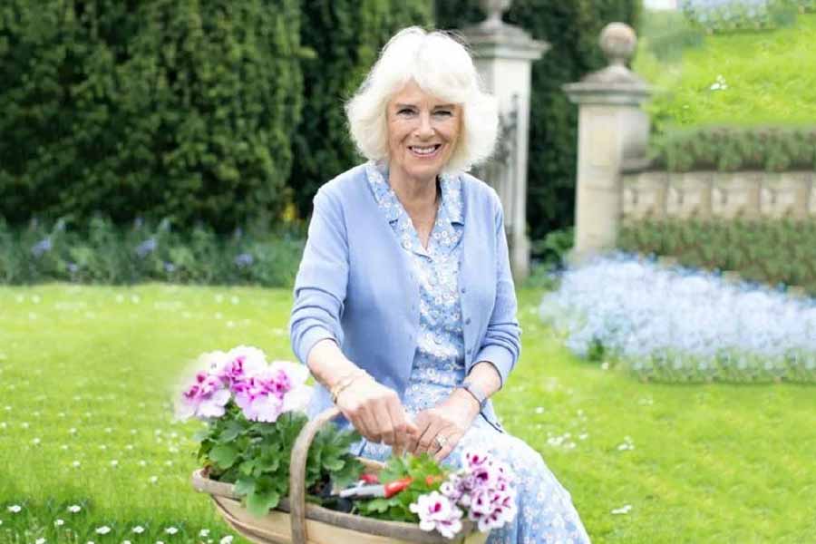 অর্থাৎ ক্যামিলা রানির সম্পূর্ণ মর্যাদা পাবেন না। থাকবে না বেশ কিছু অধিকার। মেনে চলতে হবে অনেক বিধিনিষেধ, থাকতে হবে নানা নিয়মকানুনে জড়িয়ে।