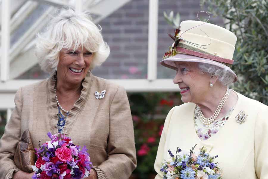 অনেক শব্দও নিজের দৈনন্দিন কথাবার্তা থেকে বাদ দিতে হবে রানিকে। যেমন সন্ধ্যাকালীন খাওয়া দাওয়াকে কখনওই চা বা জলখাবার বলতে পারবেন না রানি। হয় তাঁকে বলতে হবে ডিনার বা সাপার। যার অর্থ রাত্রিকালীন আহার। ‘টয়লেট’ শব্দটিও উচ্চারণ করতে পারবেন না ক্যামিলা। বদলে তাঁকে বলতে হবে ‘ল্যাভেটরি’ বা ‘লু’।  