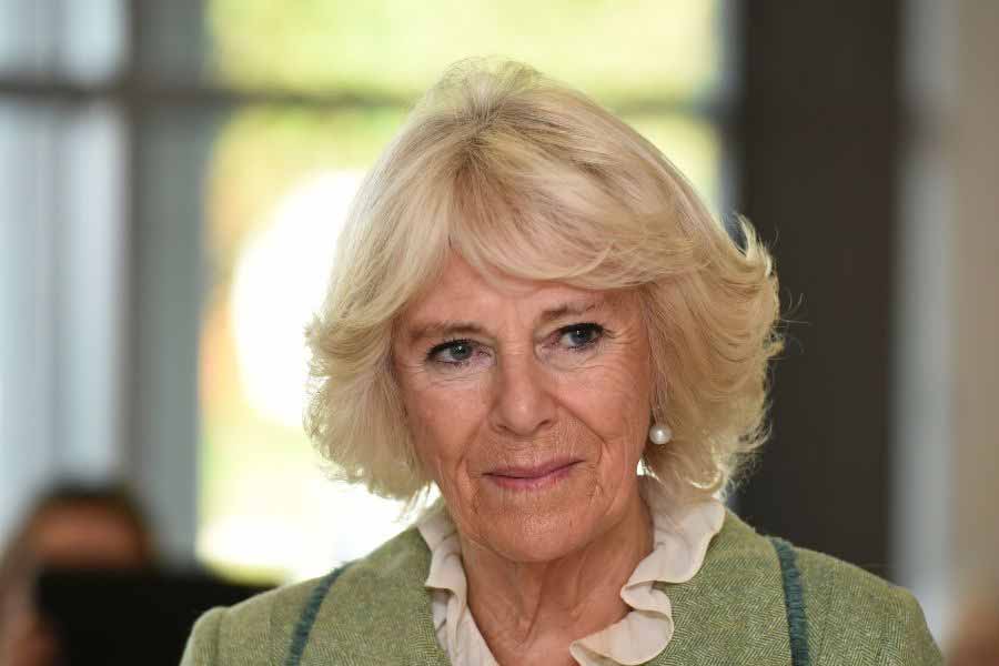 কুইন কনসর্ট হিসাবে ভোটাধিকারও হারালেন ক্যামিলা। রাজবাড়ির নিয়ম, রাজনীতি থেকে দূরত্ব বজায় রাখতে হবে। পক্ষ নেওয়া যাবে না। 