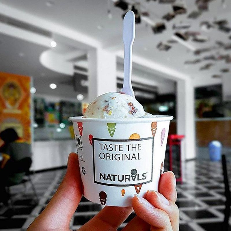 মুম্বইয়ে একটি ছোট দোকানে দক্ষিণ ভারতীয় খাবার বানাতেন রঘুনন্দনের দাদা। দাদার সঙ্গে কাজ করতে করতে রঘুনন্দন সেখানে তাঁর নিজের হাতে বানানো আইসক্রিম বিক্রি করতে শুরু করেন।