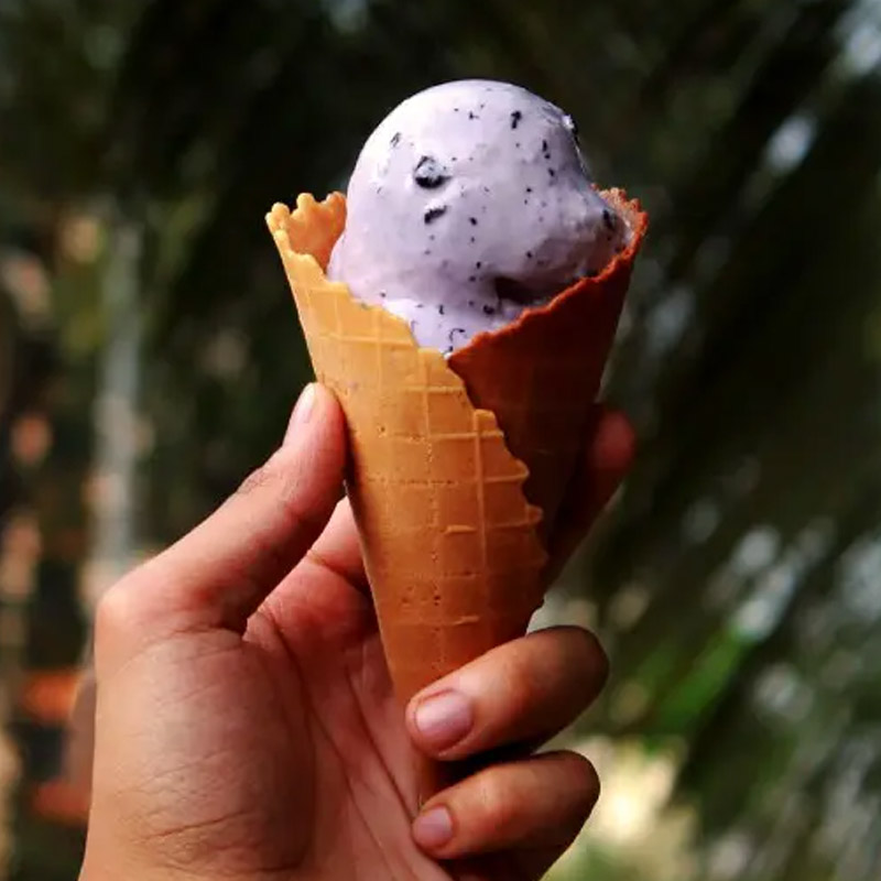 আইসক্রিম নয়, খেয়ে মনে হবে যেন আস্ত ফলই খাচ্ছেন। বাবা ফল বিক্রেতা হওয়ায় ভাল ফল চিনতেও অসুবিধা হয়নি রঘুনন্দনের।