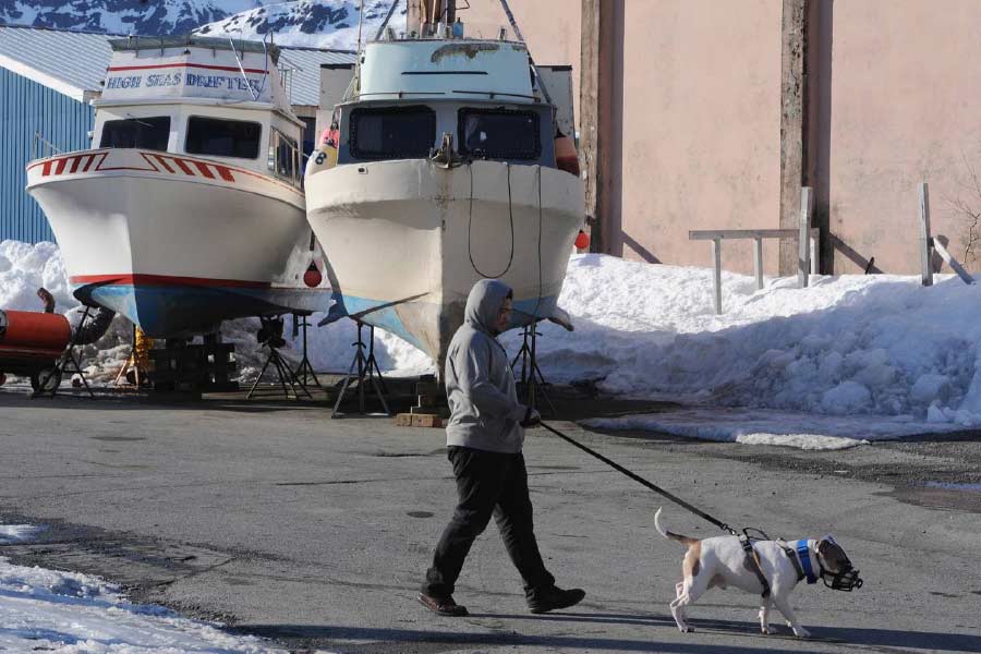 এমনকি, মনোরঞ্জনের জন্য একটি ক্লাবও রয়েছে এই বাড়িতে। 
