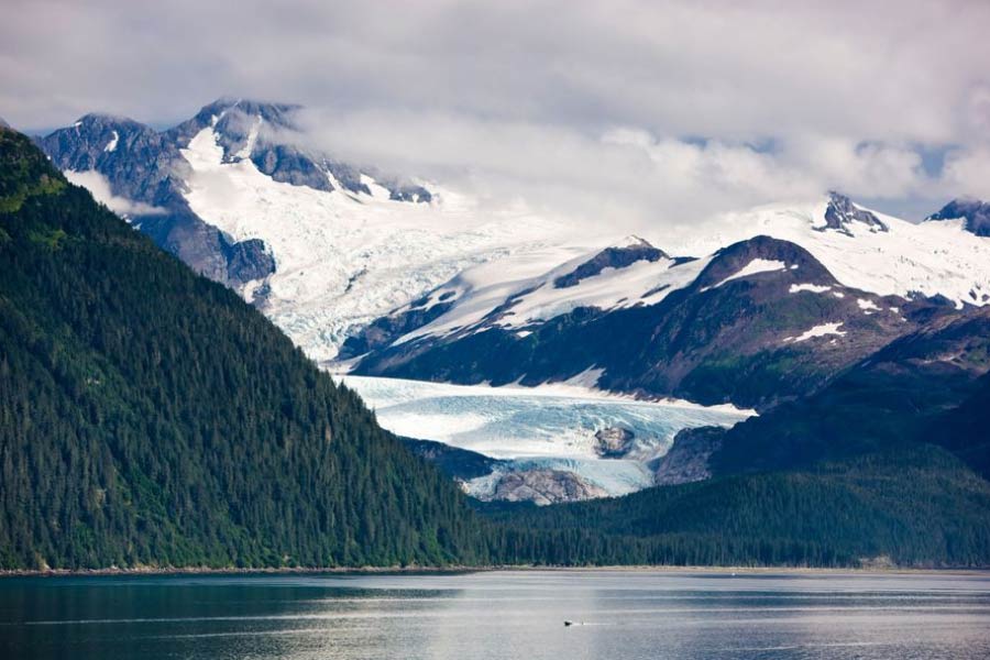 শহরে একটি স্কুল রয়েছে। সেটি অবশ্য বাগিচ টাওয়ারের বাইরে। ঠিক রাস্তা পেরিয়ে উল্টো দিকেই। তবে সেই স্কুলে যাওয়ার জন্যও বাড়ির বাইরে বেরোতে হয় না পড়ুয়াদের। ভেনেসা জানিয়েছেন, ‘‘বাড়ির একতলায় একটি সুড়ঙ্গ পথ রয়েছে। সেই সুড়ঙ্গ বেয়ে সোজা পৌঁছে যাওয়া যায় স্কুলবাড়িতে।’’