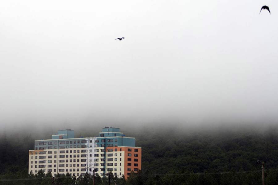 তাই বাগিচ টাওয়ারই ভরসা হুইটিয়ারের বাসিন্দাদের। সবাই ওই বহুতলেই একসঙ্গে থাকেন। যেন একটি একান্নবর্তী পরিবারের সদস্য সকলে।