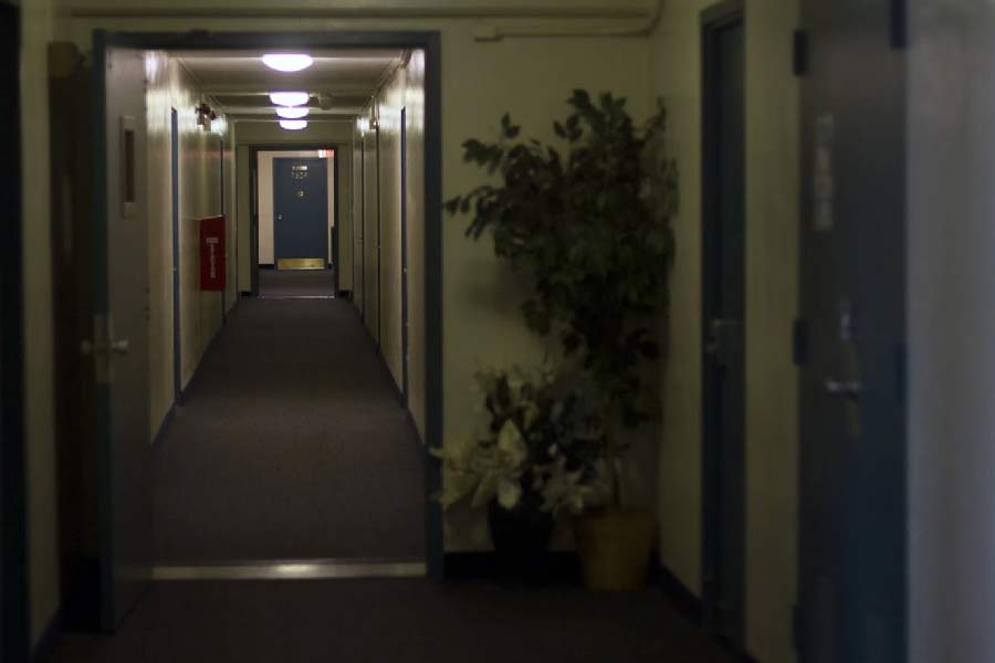 ভেনেসার ভিডিয়ো দেখে অনেকেই জানতে চেয়েছিলেন, এক ছাদের তলায় সব সময় থাকতে একঘেয়েমি আসে না তাঁদের? একটু অন্য রকম মনোরঞ্জন চাইলে তাঁরা কী করেন? ভেনেসা জানিয়েছেন, বাগিচের বাইরে শহরের একটি হ্রদে বোটিং করার ব্যবস্থা আছে। বরফে মোড়া শহরটিতে স্কি করারও সুযোগ রয়েছে বিভিন্ন জায়গায়।  