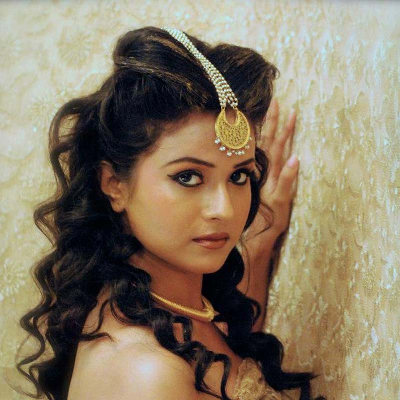 ২০১১ সাল থেকে কেরিয়ার শুরু হয় দি‌শার। বিভিন্ন বেসরকারি সংস্থায় নানা পদে কাজ করেছেন তিনি।