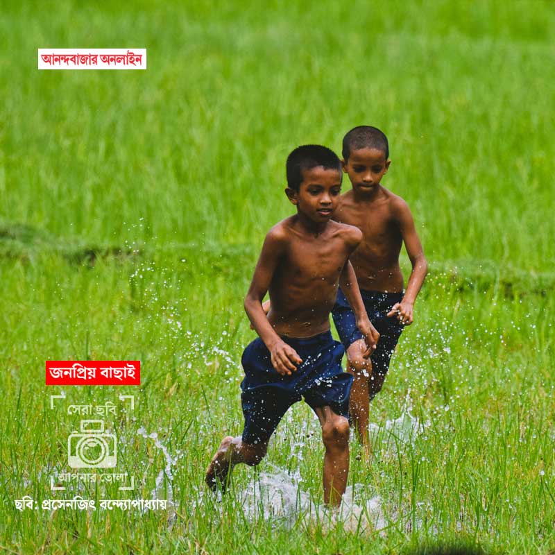 ছবি: প্রসেনজিৎ বন্দ্যোপাধ্যায়।