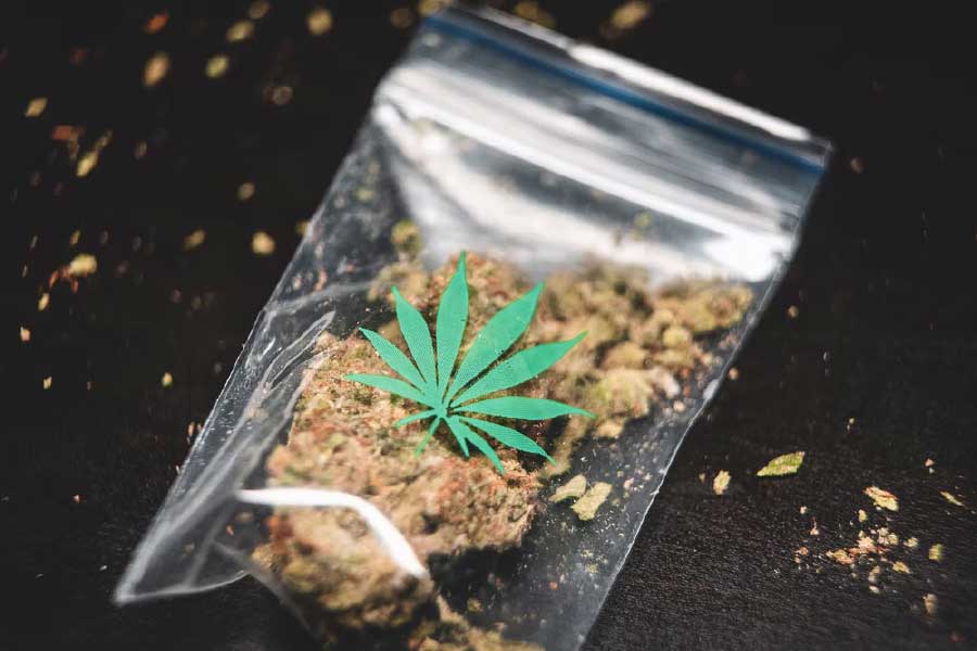 এঁদের   ৯০ শতাংশের বয়স আবার ১৭ থেকে ৩৩ বছরের মধ্যে। 