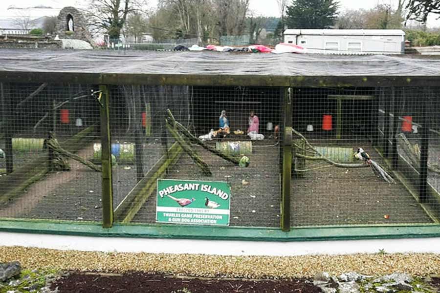 আবার, বছরের পয়লা অগস্ট থেকে ৩১ জানুয়ারি পর্যন্ত ওই দ্বীপটি ফ্রান্স সরকারের অধীনে থাকে। এই ভাবে ছয় মাস অন্তর অন্তর দ্বীপটি দুই দেশের অধীনে থাকে। 