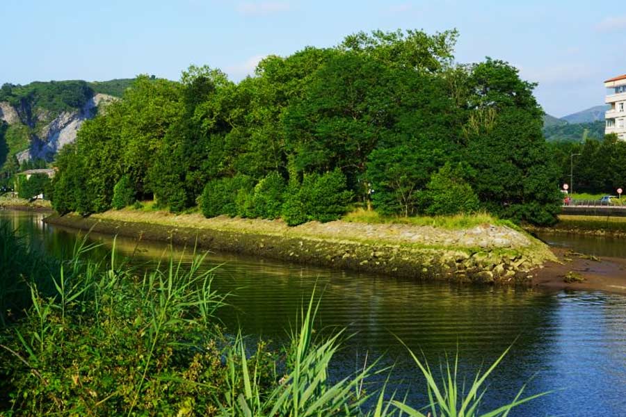 ফ্রান্স ও স্পেনকে আলাদা করেছে বিদাসোয়া নামের একটি নদী। ওই নদীর মাঝখানেই রয়েছে একটা সুন্দর দ্বীপ। আর তার নামই ফেজ়েন্ট দ্বীপ। 