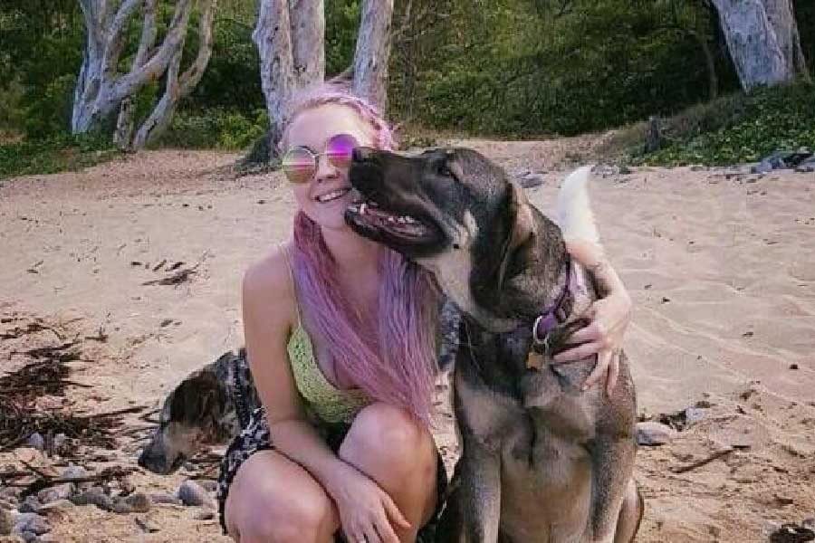 ঠিক কী হয়েছিল ৪ বছর আগে? কুইন্সল্যান্ডের ওয়াংগেট্টি সমুদ্রসৈকতে পোষা কুকুর নিয়ে ঘুরতে বেরিয়েছিলেন তোয়া। প্রায়ই সেই সমুদ্রসৈকতে তিনি যেতেন। কখনও একাই ঘোরাফেরা করতেন, কখনও সঙ্গে থাকত বন্ধুরা। পোষ্যদের নিয়ে নিয়ম করে হাঁটতে যেতেন তিনি।