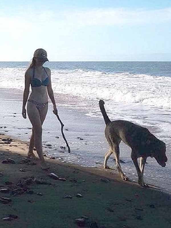 তোয়ার মৃত্যুর পর অস্ট্রেলিয়ায় মেয়েদের সুরক্ষা নিয়ে প্রশ্ন উঠে গিয়েছিল। প্রতিবাদে পথে নামা বিক্ষোভকারীরা দাবি করেছিলেন, যথেষ্ট নিরাপত্তার অভাবেই কুইন্সল্যান্ডের মতো শান্ত পরিবেশে এমন একটা নৃশংস হত্যাকাণ্ড সম্ভব হয়েছে।