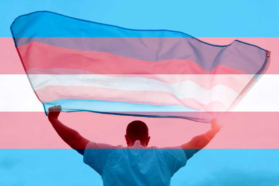 An image of Transgender Flag