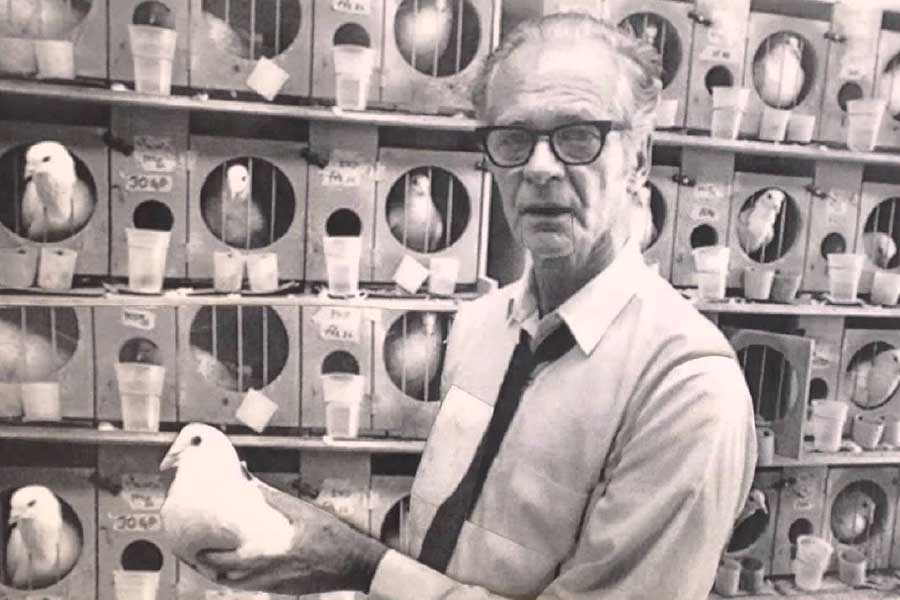 স্কিনার তাঁর পরিকল্পনা নিয়ে আমেরিকার আমেরিকার ‘ন্যাশনাল রিসার্চ ডিফেন্স কমিটি’র কাছে যাওয়ার পর কমিটির সদস্যরা প্রথমে তাঁকে এই প্রজেক্টের জন্য কোনও টাকা মঞ্জুর করতে অস্বীকার করেন।