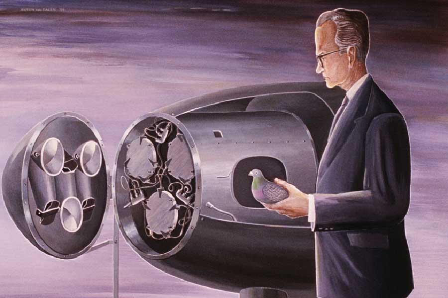 এই প্রকল্প শুরুর অনেক দিন আগে থেকেই স্কিনার মনস্তাত্ত্বিক গবেষণায় পায়রার ব্যবহার নিয়ে কাজ করছিলেন। খিদে পেলে পোষা পায়রাদের নির্দিষ্ট স্যুইচ টিপতেও শিখিয়েছিলেন স্কিনার। আর সেই কারণেই ‘প্রজেক্ট পিজিয়ন’ নিয়ে আরও আত্মবিশ্বাসী ছিলেন তিনি।