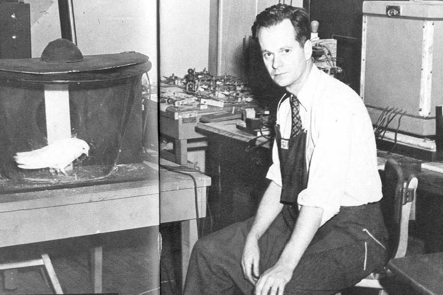 স্কিনার পায়রাদের এমন ভাবে প্রশিক্ষণ দিতে শুরু করেন যাতে পায়রাগুলি লক্ষ্যবস্তু দেখেই তারগুলিতে খোঁচা দেয়। যখন তিনটি পায়রাই একসঙ্গে সাড়া দেয়, তখন প্রত্যেকের মাথায় লাগানো তারগুলি যান্ত্রিক ভাবে ক্ষেপণাস্ত্রটিকে নিক্ষেপ করতে সাহায্য করবে। 