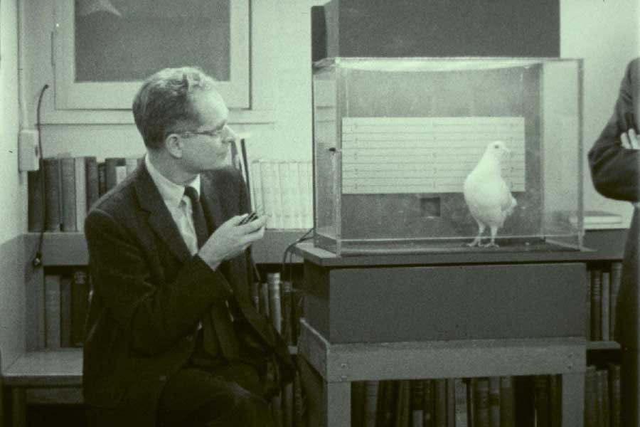 স্কিনার শেষমেশ নিজের পরীক্ষায় সফল হয়েছিলেন। প্রশিক্ষিত পায়রাদের সফল প্রদর্শন সত্ত্বেও, আমেরিকার সামরিক কর্মকর্তারা এই প্রকল্প নিয়ে সন্দিহান হয়ে ওঠেন।