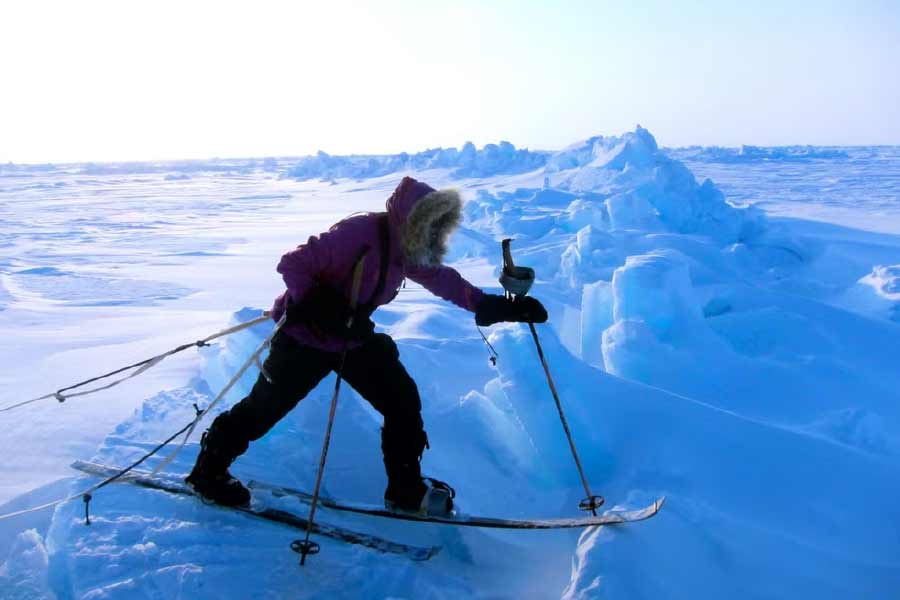 উত্তর এবং দক্ষিণ মেরু অভিযানের সাফল্যও রয়েছে ভ্যানেসার ঝুলিতে। সেখানেও রয়েছে রেকর্ড। উত্তর এবং দক্ষিণ মেরু অভিযানের শেষ ১১১ কিলোমিটার স্কি করে পাড়ি দিয়েছেন তিনি।