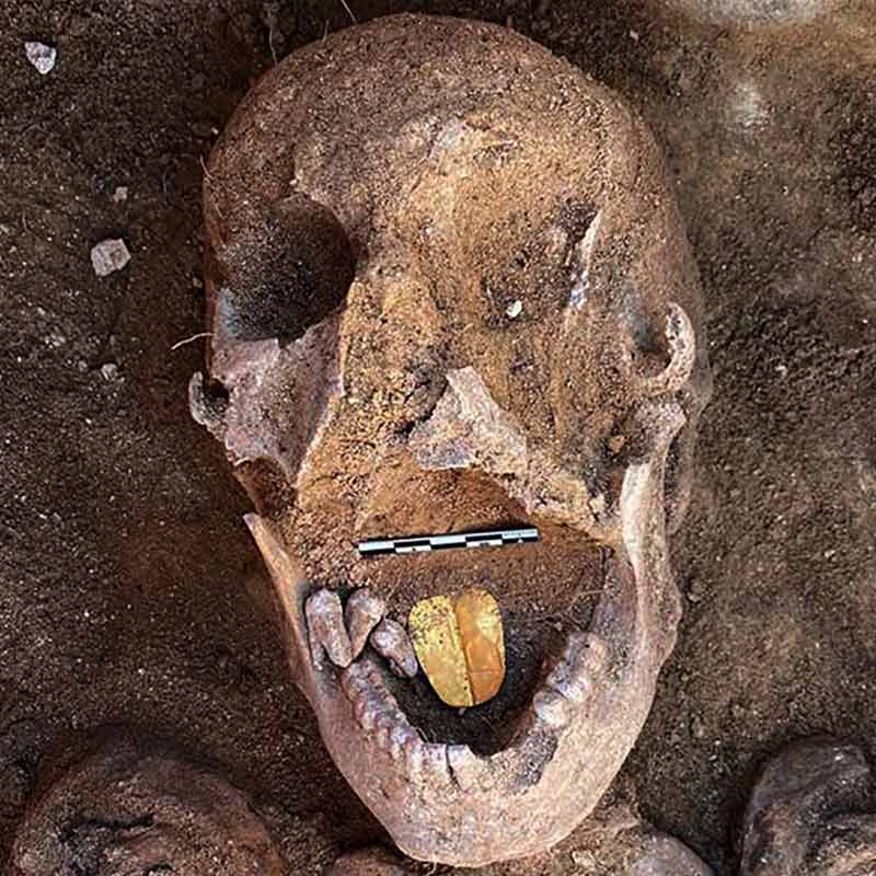 কোয়েসনার সমাধিস্থল থেকে উদ্ধার হওয়া কঙ্কালগুলির অবস্থা খুব একটা ভাল নয়। 