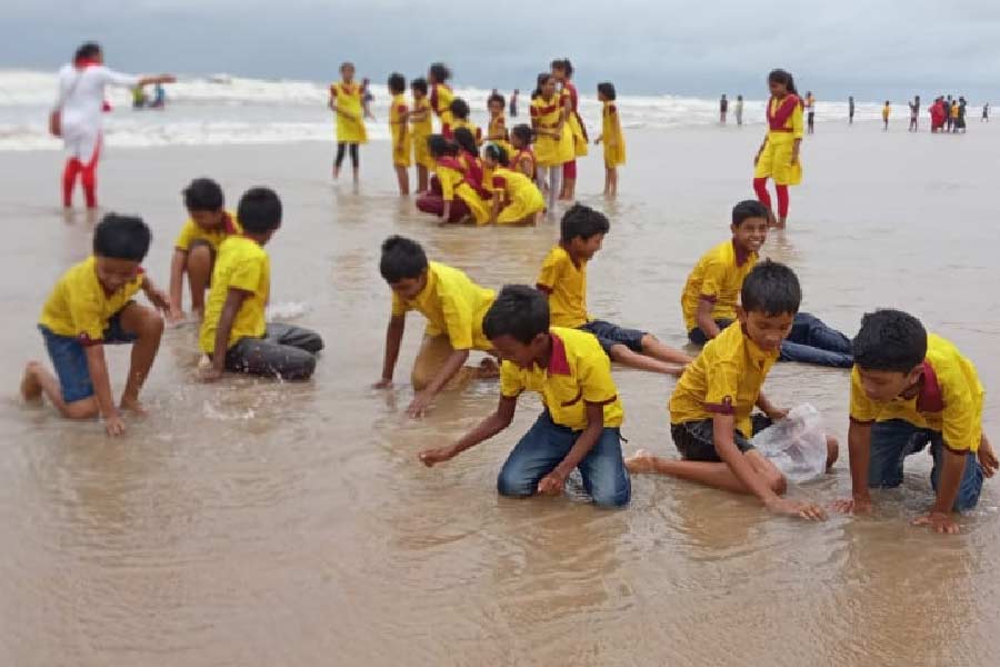 দলবেঁধে সমুদ্রস্নানে। 