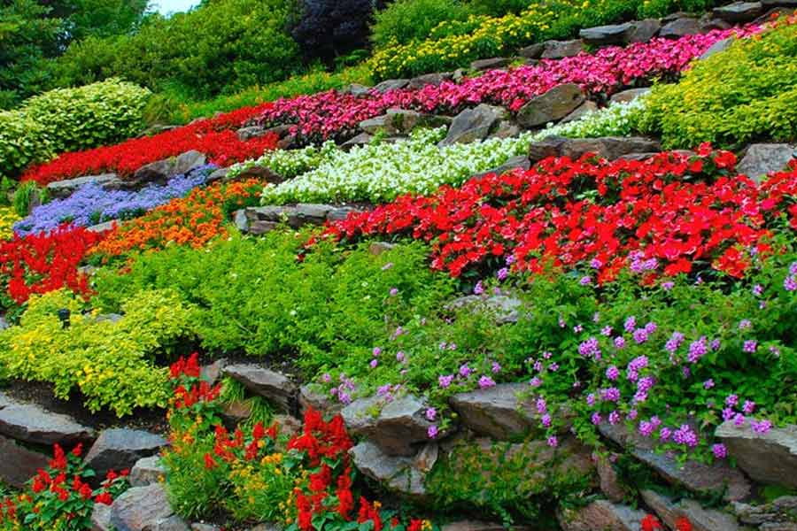 ব্যাবিলন কথার অর্থ ‘ভগবানের দুয়ার’। এখানেই নাকি তৈরি হয়েছে হ্যাঙ্গিং গার্ডেন। কিন্তু তার ঠিকানা নিয়ে রয়েছে নানা মত।