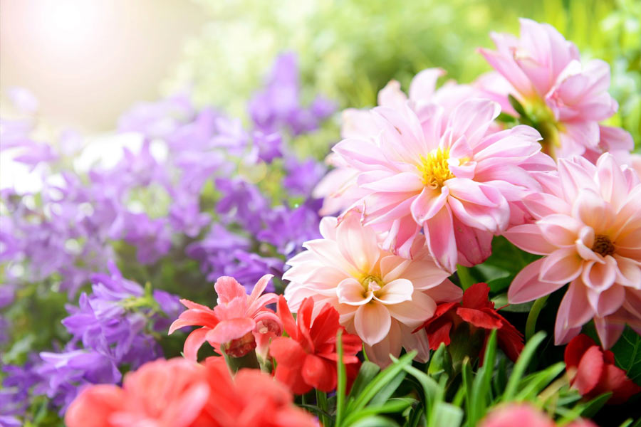 আদৌ এমন কোনও উদ্যান ছিল কি না, তা নিয়েও সন্দেহ রয়েছে। অনেকের দাবি, এমন উদ্যান কোনও কবির চিন্তাভাবনার ফল।