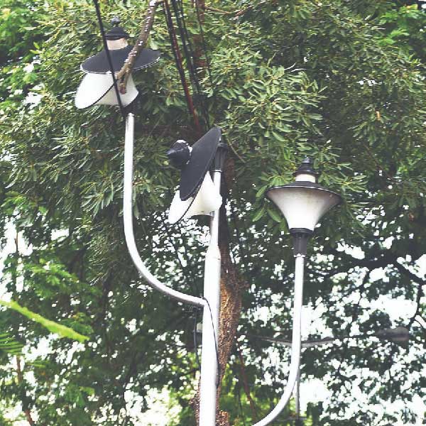 প্রথম ত্রিফলা বাতিস্তম্ভটি লাগানো হয়েছিল কালীঘাটে। কালীঘাটের হরিশ মুখার্জি রোডে প্রথম বসানো হয় এই তিন মাথার বাতিস্তম্ভ।   