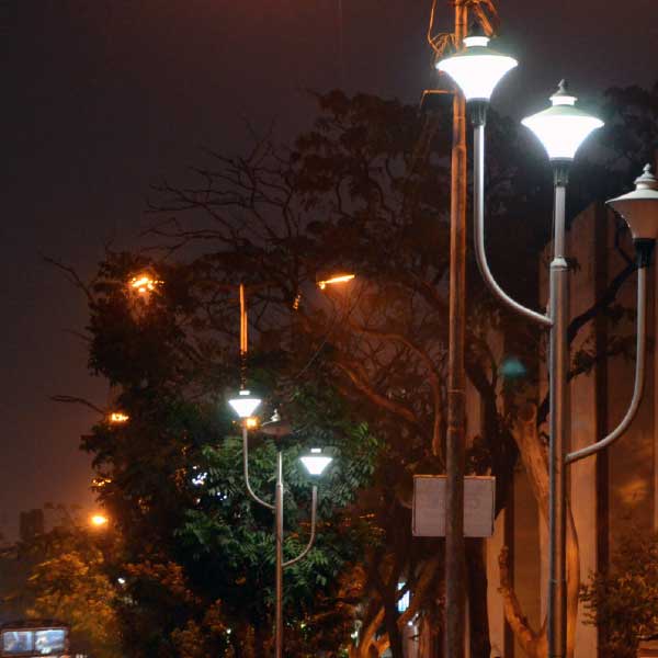 তৎকালীন পুরবোর্ডের একাংশের বিরুদ্ধে ত্রিফলার টাকা নয়ছয়ের অভিযোগ ওঠে। অভিযোগ ওঠে, পুরবোর্ডের তরফে বাজারদরের থেকে অনেক বেশি দামে এই ত্রিফলা কেনা হয়েছিল।   