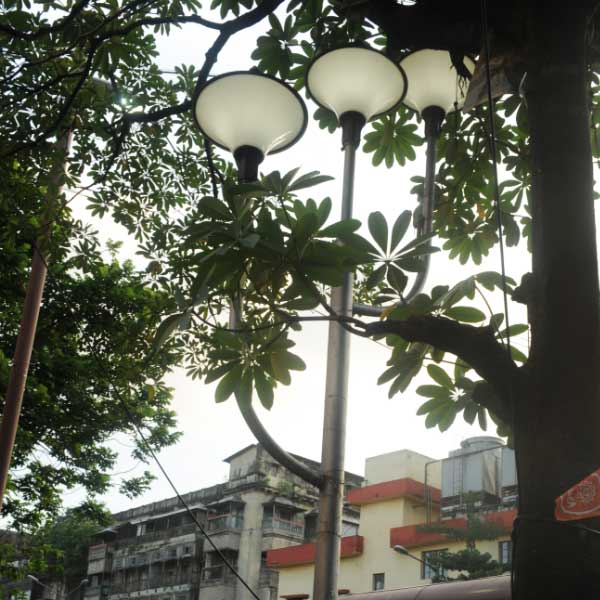 ত্রিফলায় বিদ্যুৎস্পৃষ্ট হয়ে মৃত্যুর অভিযোগও ওঠে পরবর্তী সময়ে। বিশেষত বর্যাকালে। সেই কারণেই চলতি বছরে বর্ষাকালের চার মাস ত্রিফলাগুলি বন্ধ ছিল।