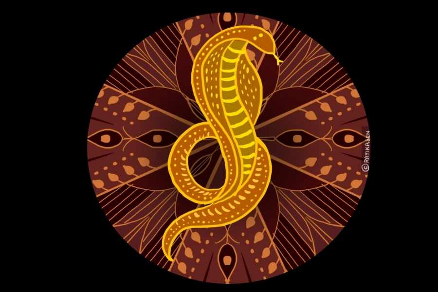 সর্প: নাগরাজ প্রদান করেন সর্প। দেবী দুর্গার বাম হাতে নীচের দিকে থাকে সাপ বা নাগপাশ। নাগপাশ বিশুদ্ধ চেতনার প্রতীক। 