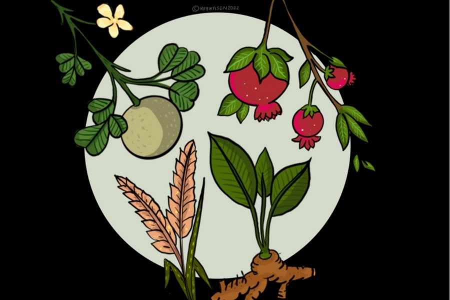 নবপত্রিকা দেবী দুর্গার সেই রূপ, যা মানুষের ভরণপোষণ ও ওষুধের উৎস হিসেবে ব্যবহৃত হয়। তাই গণেশের পাশে কলাবৌয়ের এই অবস্থান এত উদযাপিত।