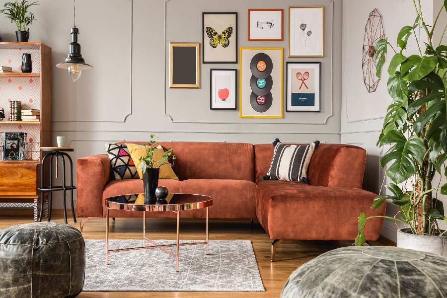 উৎসবের মরসুমে ঘরের সৌন্দর্য বাড়াতে নানা ধরনের ‘ইন্ডোর প্ল্যান্ট’ ব্যবহার করতে পারেন।