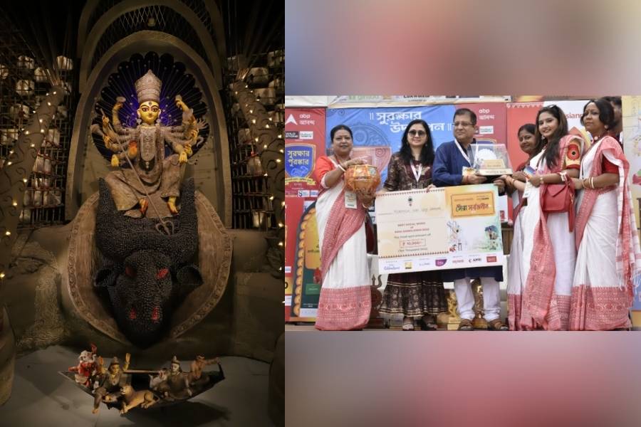 রাজডাঙা নব উদয় সংঘ — বছরভর বিভিন্ন সামাজিক কর্মকাণ্ডের সঙ্গে যুক্ত থাকে এই পুজো কমিটি। সেরা সামাজিক কাজের নিরিখে সেরা পুজোর শিরোপা জিতেছে ‘রাজডাঙা নব উদয় সংঘ’