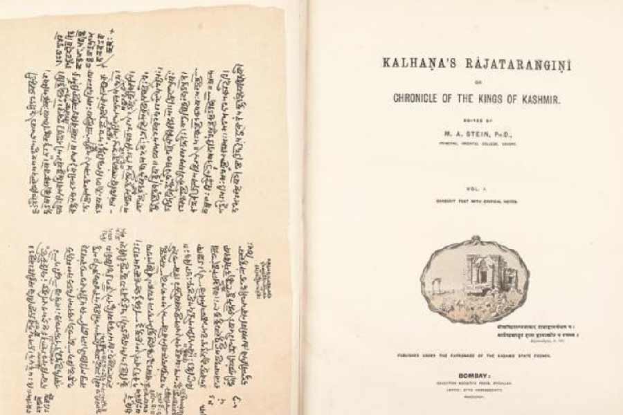 দিদ্দা সম্পর্কে প্রাথমিক তথ্য পাওয়া যায় কাশ্মীরের দ্বাদশ শতকীয় কবি কলহণের ‘রাজতরঙ্গিনী’ কাব্যে। ‘রাজতরঙ্গিনী’ আসলে কাব্যে রচিত কাশ্মীরের ইতিবৃত্ত। কলহণ তাঁর রচনায় দিদ্দা সম্পর্কে খুব সদর্থক কোনও মন্তব্য করেননি। কিন্তু দিদ্দা সম্পর্কে কিছু জানতে হলে কলহণের দ্বারস্থ হওয়া ছাড়া উপায় নেই। কলহণের লেখায় অবশ্যই পুরুষতান্ত্রিক পক্ষপাত ছিল। দিদ্দার কাহিনি লিখতে গিয়ে তাই তাঁকে খুব উজ্জ্বল আলোয় দেখাতে পারেননি কাশ্মীরের কবি ও কালপঞ্জি লেখক।