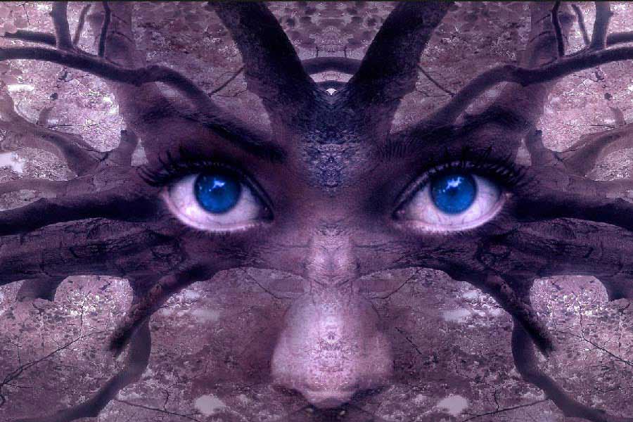 অভিমন্যুর মৃত্যুর পরে দিদ্দা হিংস্র হয়ে ওঠেন। কাশ্মীরের বিহিন্ন জনপদে তখন তাঁকে নিয়ে গুজবের অন্ত নেই। রাতে কোথাও কেউ ষড়যন্ত্র করছে কি না দেখার জন্য নিজেই সরিসৃপের মতো বুকে হেঁটে ঘুরে বেড়ান প্রাসাদের আনাচে-কানাচে। হাঁটতে পারতেন না, কিন্তু তিনি নাকি দেওয়াল বেয়ে অনায়াসে চলাফেরা করতে পারতেন। এই দৃশ্য দেখামাত্রই লোকের মৃত্যু হয়— এমন কথাও চাউর হয় কাশ্মীরের শহর-গ্রামে-প্রান্তরে। লোকে মনে করতে শুরু করে দিদ্দা প্রেতসিদ্ধা।