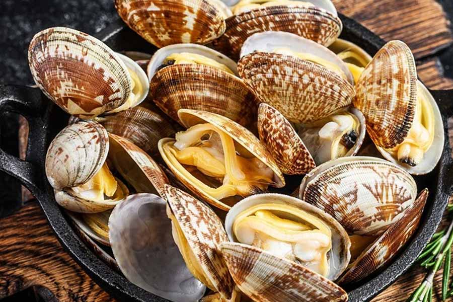 রিসর্টে বসে পরিবারের সঙ্গে নৈশভোজ সারছিলেন স্কট। খাবারের মধ্যে ছিল সামুদ্রিক ঝিনুকও।