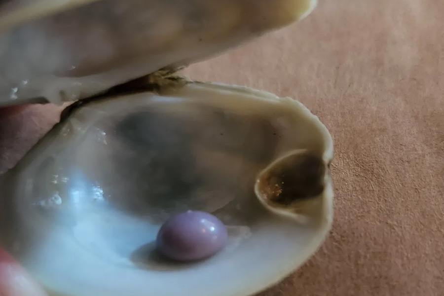 স্কট প্রথমে ভেবেছিলেন এই গোল শক্ত বস্তুটি আসলে পুঁতি বা মিছরির টুকরো। তাঁর পরিবারের কেউ কেউ বলেন, ওই বস্তু আসলে জামার বোতাম।