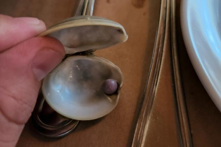 স্কট রেস্তোরাঁ থেকে ওই মুক্তো নিয়ে চলে যান। পরে বাড়ি ফিরে ইন্টারনেট ঘেঁটে মুক্তোটির বিষয়ে খোঁজখবর নেওয়া শুরু করেন তিনি।