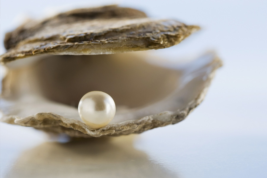 এ বার ছিল স্কটের আরও অবাক হওয়ার পালা। মুক্তো নেড়েচেড়ে ওই বিশেষজ্ঞ স্কটকে জানান, এ মুক্তো যে সে মুক্তো না। মুক্তোটি দুর্লভ এবং বহুমূল্য বলেও ওই বিশেষজ্ঞ স্কটকে জানান।