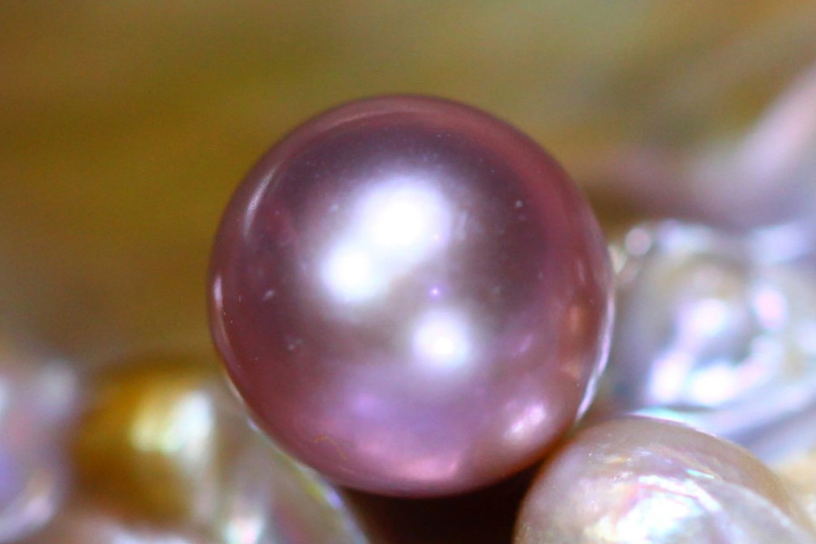 ওই বিশেষজ্ঞ স্কটকে আরও জানান, মুক্তোটির আনুমানিক মূল্য ৪০০০ ডলার (ভারতীয় মূল্যে প্রায় সাড়ে তিন লক্ষ টাকা)।