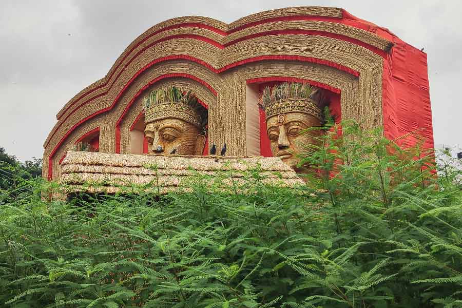 সল্টলেকের এফডি ব্লকের পুজো।