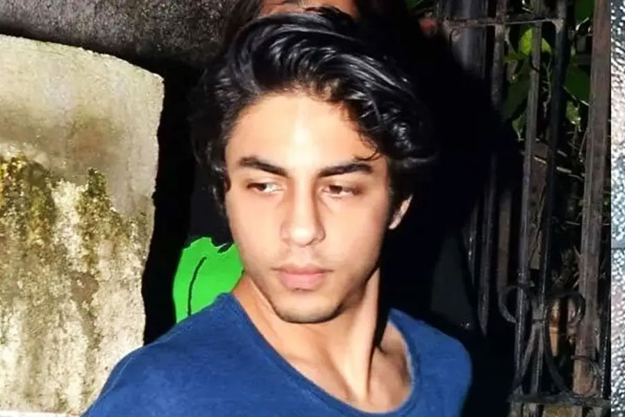 বলিউডের ‘কিং খান’ শাহরুখ বলিপাড়া কাঁপিয়ে রেখেছেন দীর্ঘ ত্রিশ বছর ধরে। শাহরুখ-পুত্র আরিয়ান এখনও পর্যন্ত কোনও ছবিতে মুখ্যচরিত্রে অভিনয় করেননি। ‘দ্য লায়ন কিং’ এবং ‘দ্য ইনক্রেডিবলস’ নামের দু’টি হলিউড অ্যানিমেশন ছবিতে কণ্ঠদান (ভয়েস-ওভার) করেছেন।