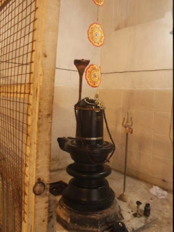 বহু ইতিহাস জড়িত এই পরিবারের সাথে।এ বাড়ির শিব ঠাকুরের প্রতিষ্ঠা করেন স্বয়ং রামকৃষ্ণ পরমহংস। 