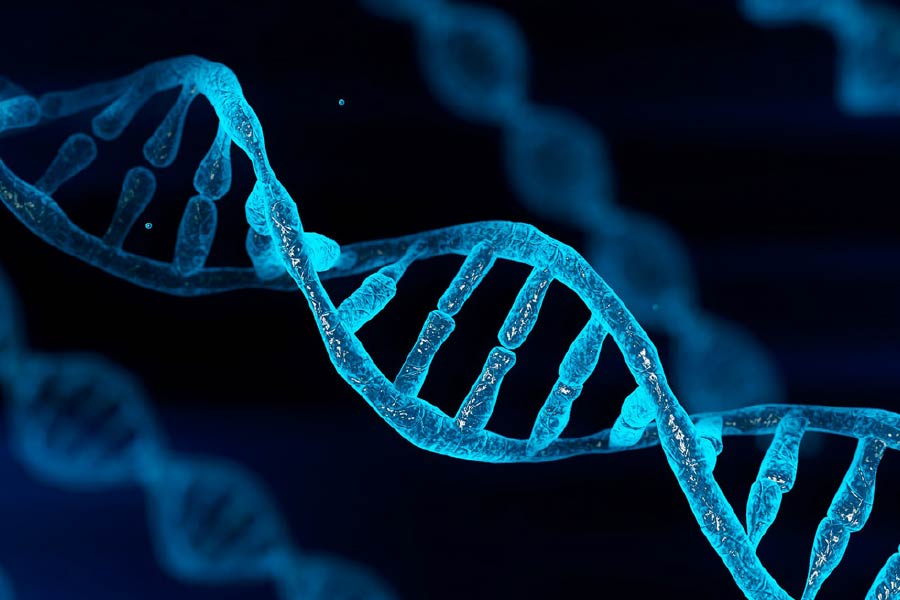 মিরিয়ামদের দেহাবশেষের সঙ্গে পুলিশ উদ্ধার করে সাতটি চুল। এই চুলগুলির ডিএনএ পরীক্ষা করে চমকে যায় পুলিশ। কারণ এই ডিএনএর সঙ্গে মিল ছিল না খুন হওয়া তিন বোন, রিকার্ট বা আন্তোনিওর। তা হলে এই চুলগুলি কার? তবে কি খুনে জড়িত ছিলেন তৃতীয় কেউ? সে রহস্যের সমাধান হয়নি।