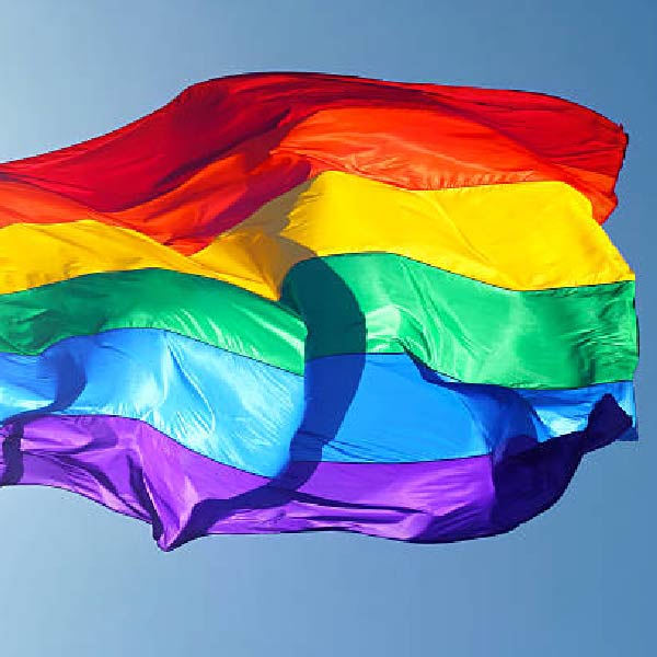 সেখান থেকে এক স্বেচ্ছাসেবী সংস্থা গণেশকে উদ্ধার করে। ২০০০ সালে গণেশ নিজে একটি স্বেচ্ছাসেবী সংস্থা প্রতিষ্ঠা করেন। এই সংস্থার সদস্যরা রূপান্তরকামীদের জীবনের লড়াইয়ের পাশে থাকেন, তাঁদের নতুন ভাবে বেঁচে থাকার উদ্যম জোগান।