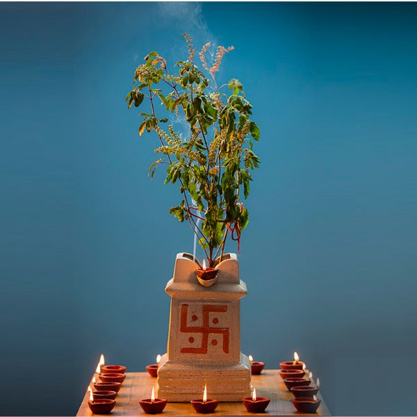 তুলসী গাছের পুজো করুন: হিন্দুধর্মে তুলসী গাছকে দেবী হিসেবে পুজো করা হয়। পুরাণে অনুযায়ী, যে বাড়িতে তুলসী গাছ রয়েছে এবং নিয়মিত তার পুজো করা হয়, সেই বাড়িতে কখনও শোকের ছায়া নামে না। 